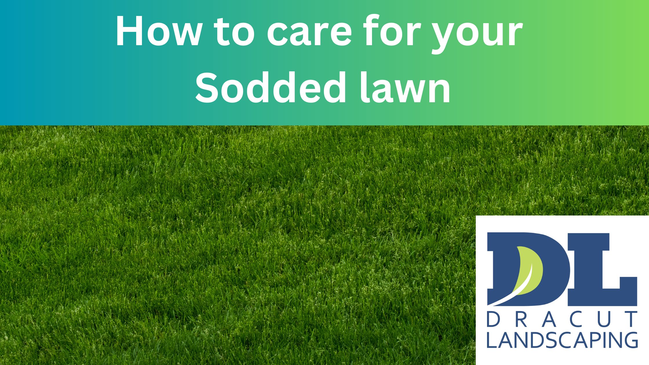 When To Mow New Sod Timing And Tips For A Healthy Lawn