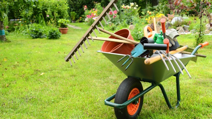 Wheel barrel full of tools to help landscape your yard.
