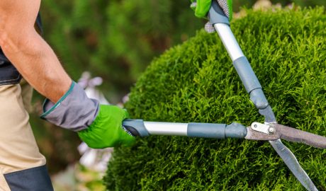 Residential Landscaping Services Dracut