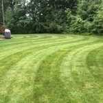 Backyard fresh lawn cut