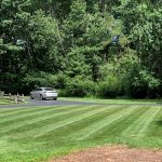 Our Work - Front Yard Lawn Maintenance