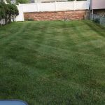 Landscaper For your Home or Business