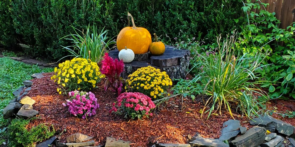 Landscaping Tips for Fall Lawn Care