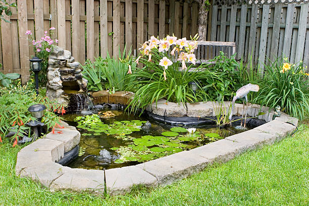 Water Gardens to Backyard Waterfalls and Outdoor Fountains